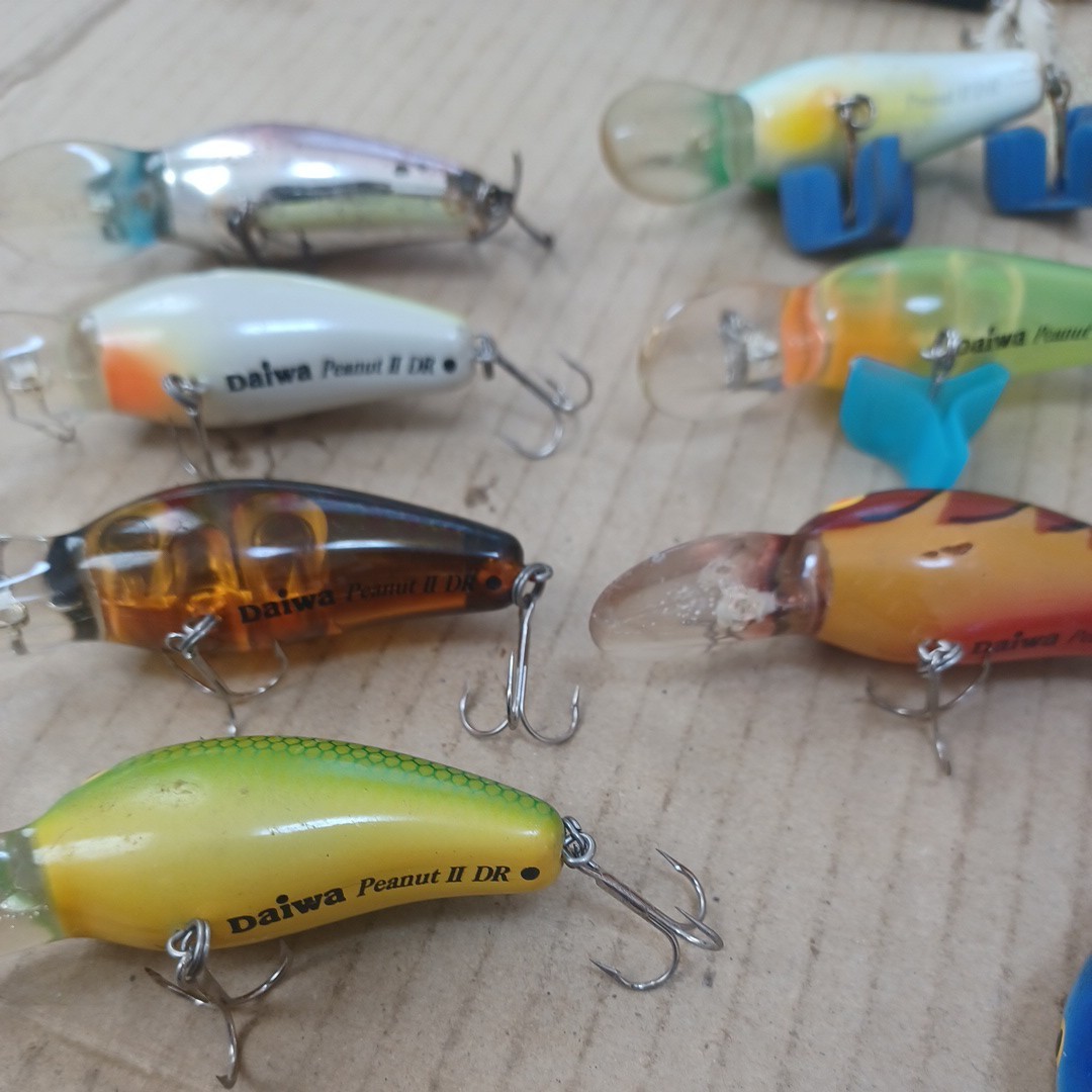 ダイワ ピーナッツ2DR ダイワ ピーナッツ2DR 7個セット DAIWA⁄ダイワ