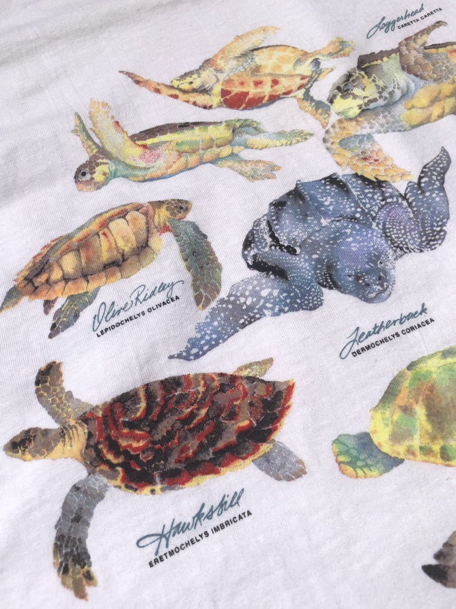 激レア パタゴニア XL 90s 初期 カメT 亀T Tシャツ Patagonia 90年代 