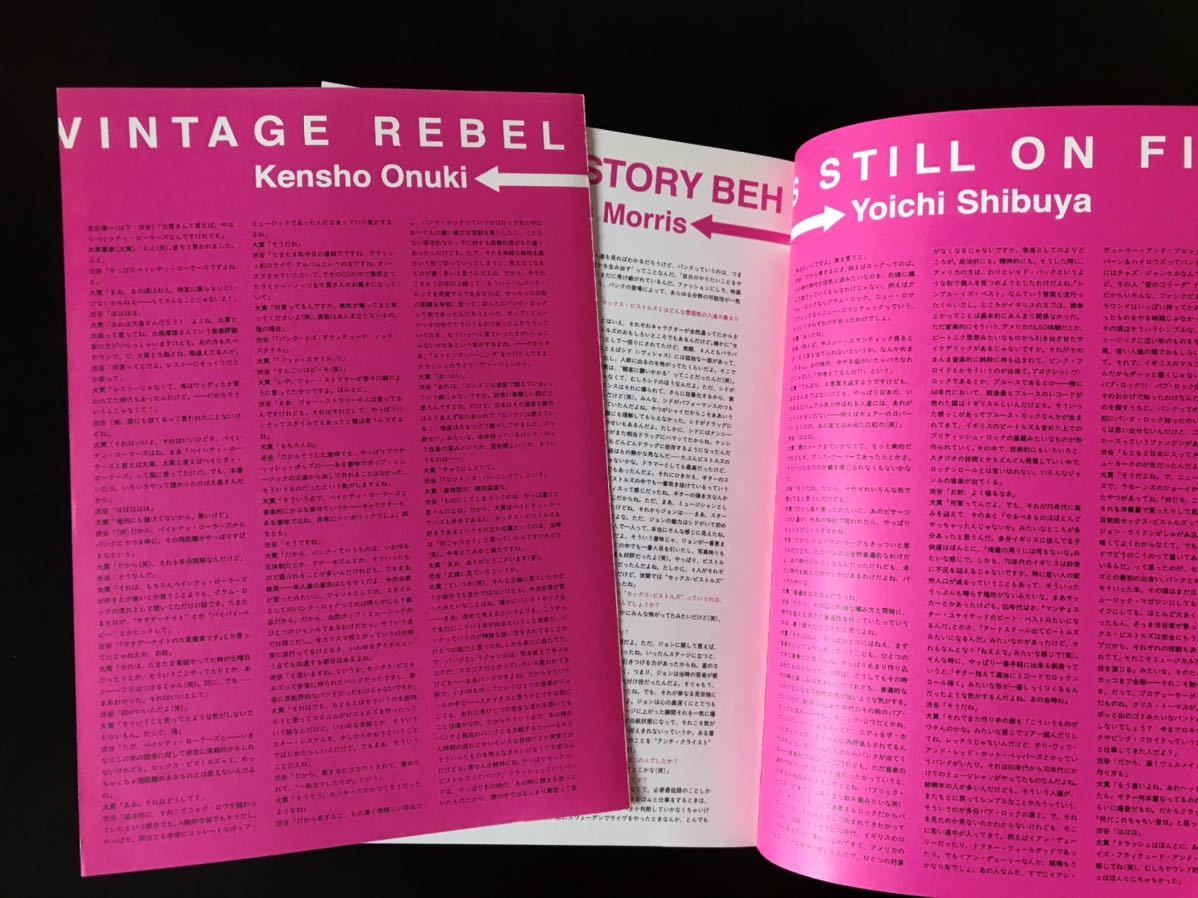 SEX PISTOLS セックス・ピストルズ 写真集 DESTROY PUNK ロンドン 
