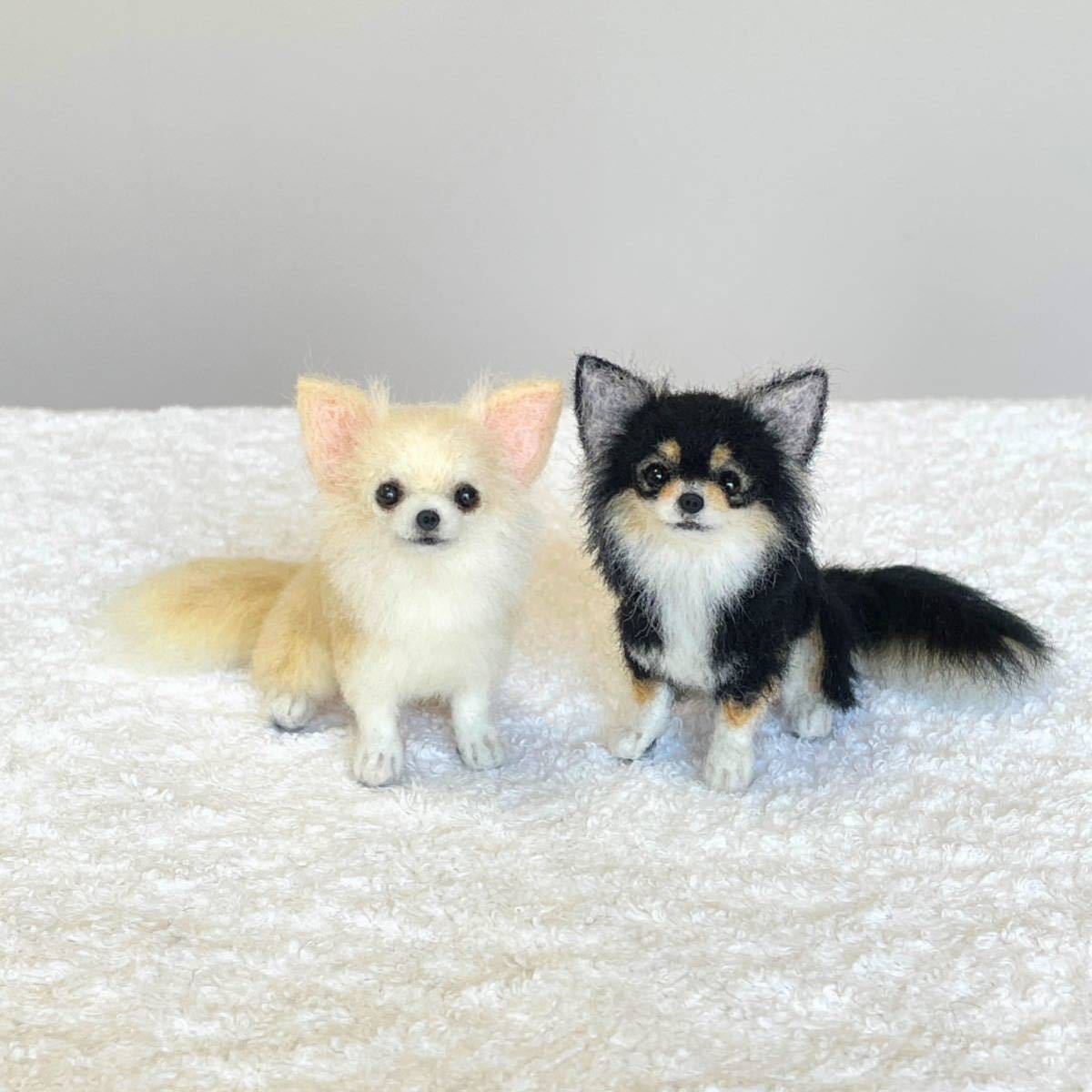 ◇ 羊毛フェルト 犬 チワワ クリーム ◇ 羊毛フェルト 犬 チワワ