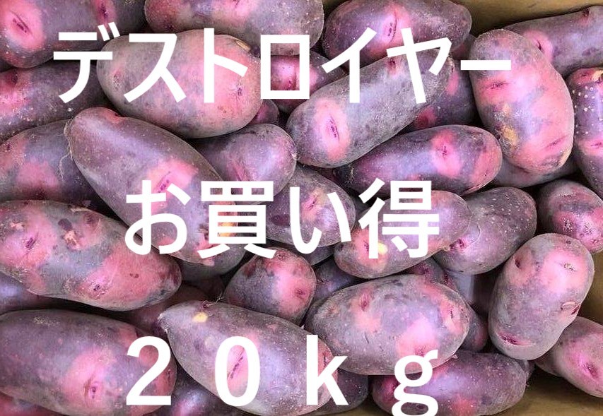 ２０ｋｇ　送料無料　デストロイヤー　グラウンドペチカ　じゃがいも　ジャガイモ　芋