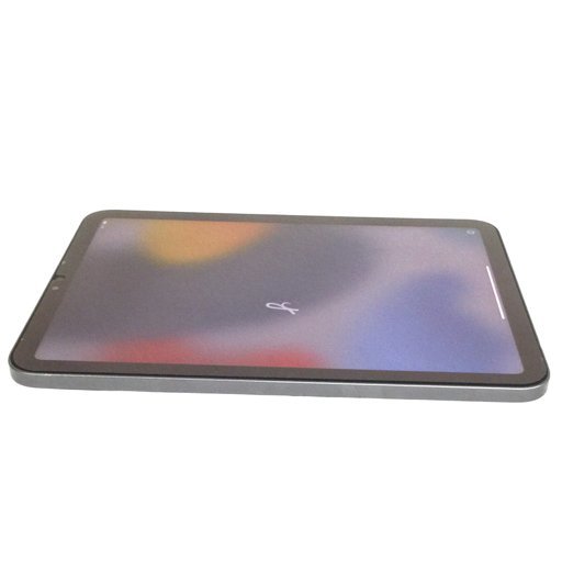 1円 Apple iPad mini 第6世代 MK7M3J/A Wi-Fiモデル 64GB スペース