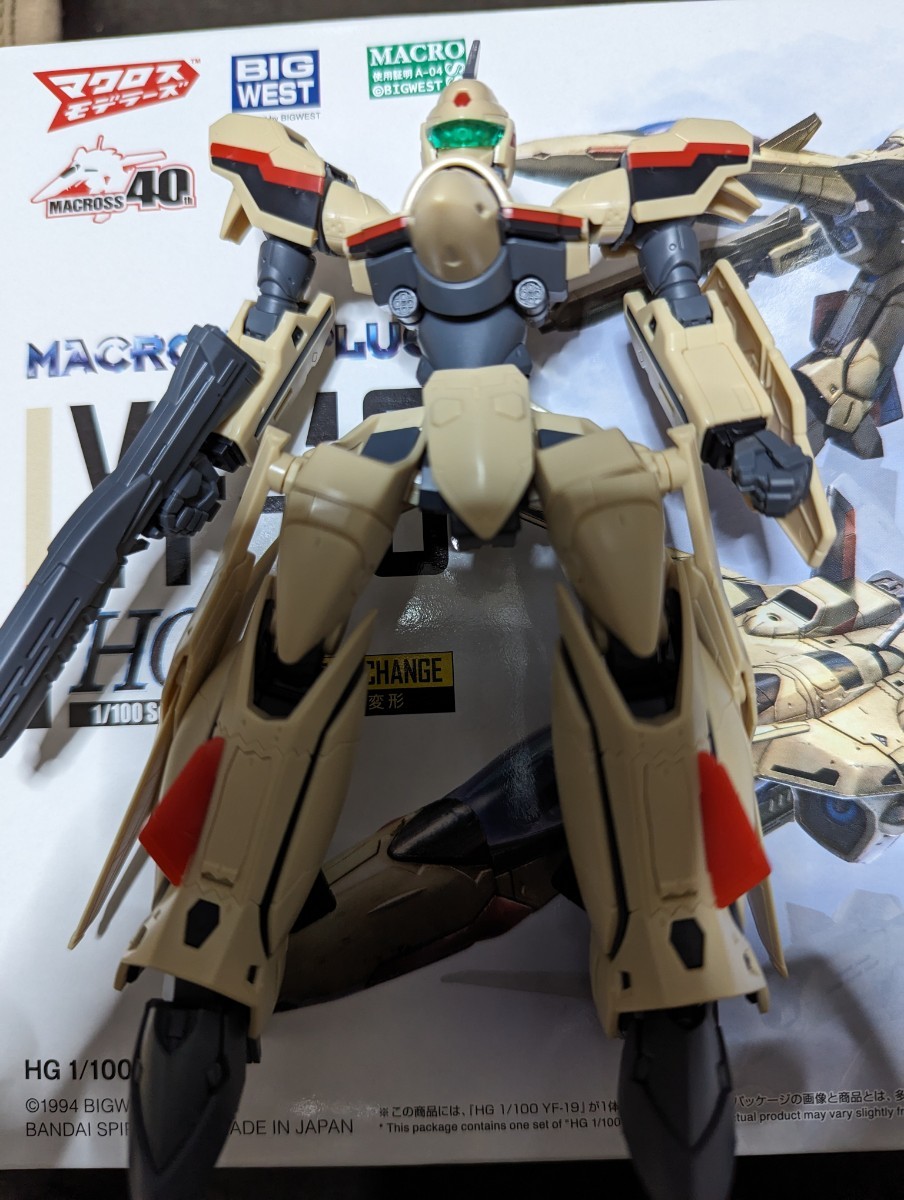 1⁄100 YF-19 HG YF-21 BANDAI プラモデル「HG マクロスプラス 専用水転写