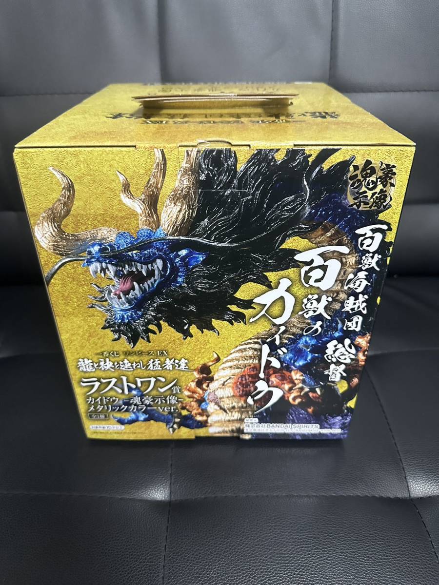 希少 斑入り モンステラ ボルシギアナ ハーフムーン 9株おまとめ