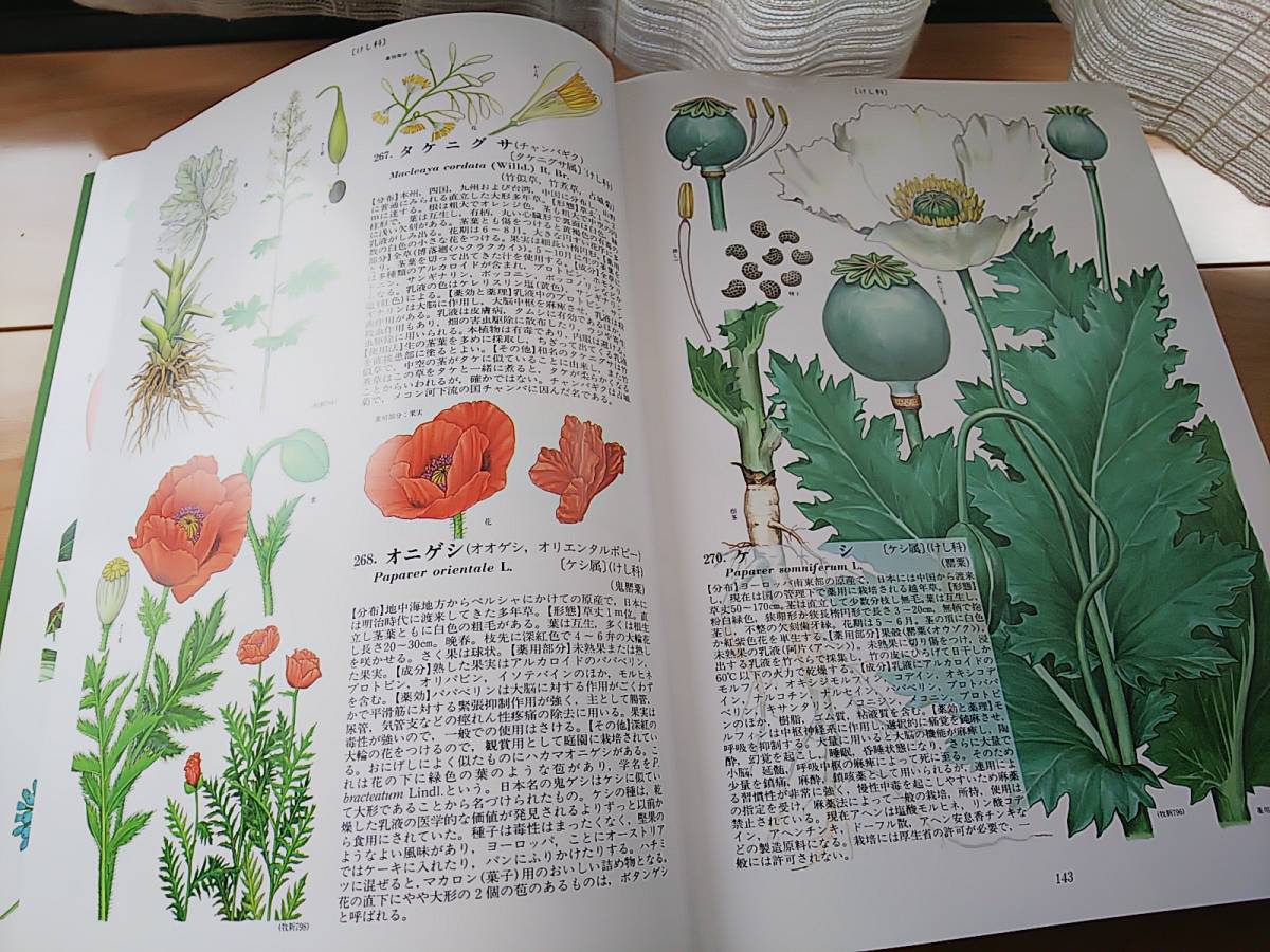 819 原色牧野和漢薬草大図鑑 大型本 植物 薬草 漢方薬 北隆館(野草