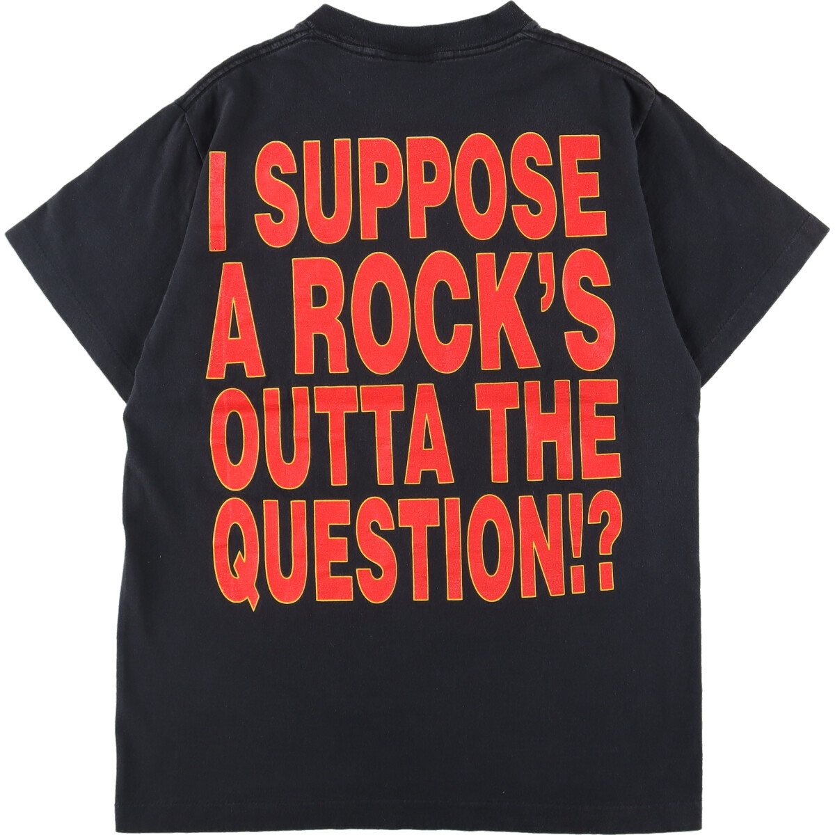 Def Leppard 90s USA S⁄S Vintage 古着 90年代 giant DEF LEPPARD