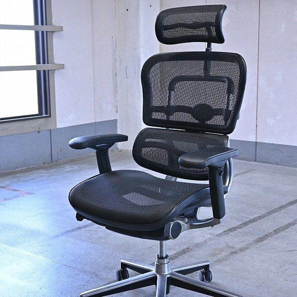 エルゴヒューマン 11万「ベーシック」デスクチェア ハイバック メッシュ キャスター ヘッドレスト 事務 書斎 椅子 Basic Ergohuman