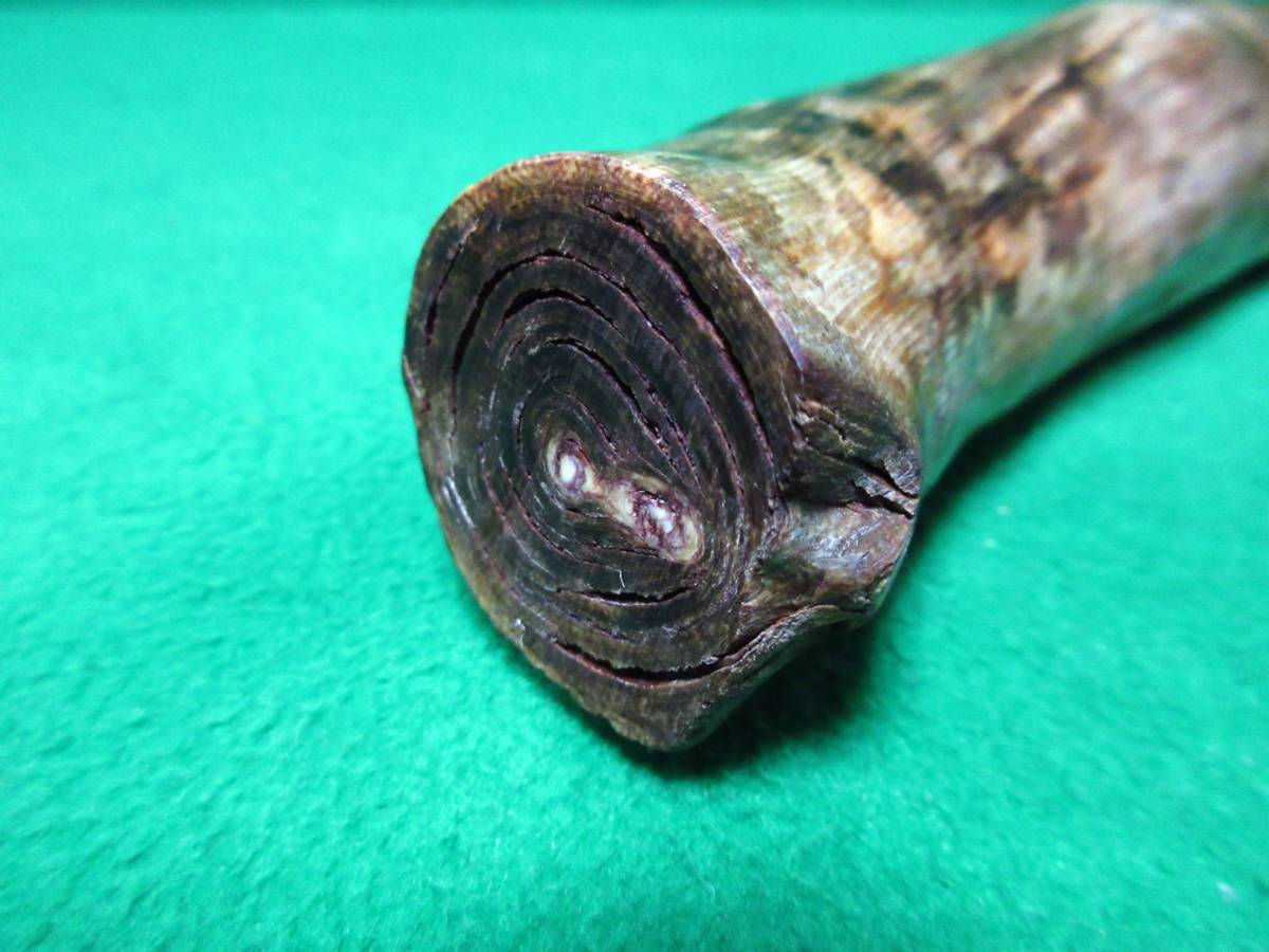 深海松(フカミル) 海松 黒珊瑚 彫刻材 ブルー系？ 原木553g 根付 装飾 