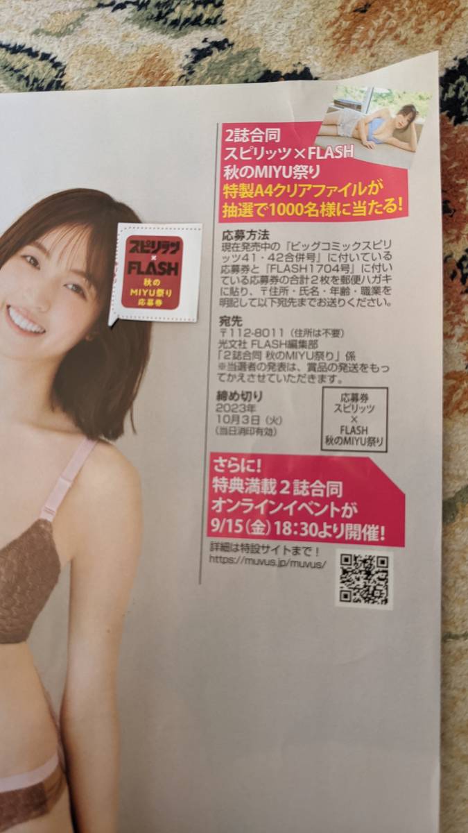 FLASH 村島未悠 サイン入りチェキ 蓬莱舞 直筆サイン入りチェキ 応募券