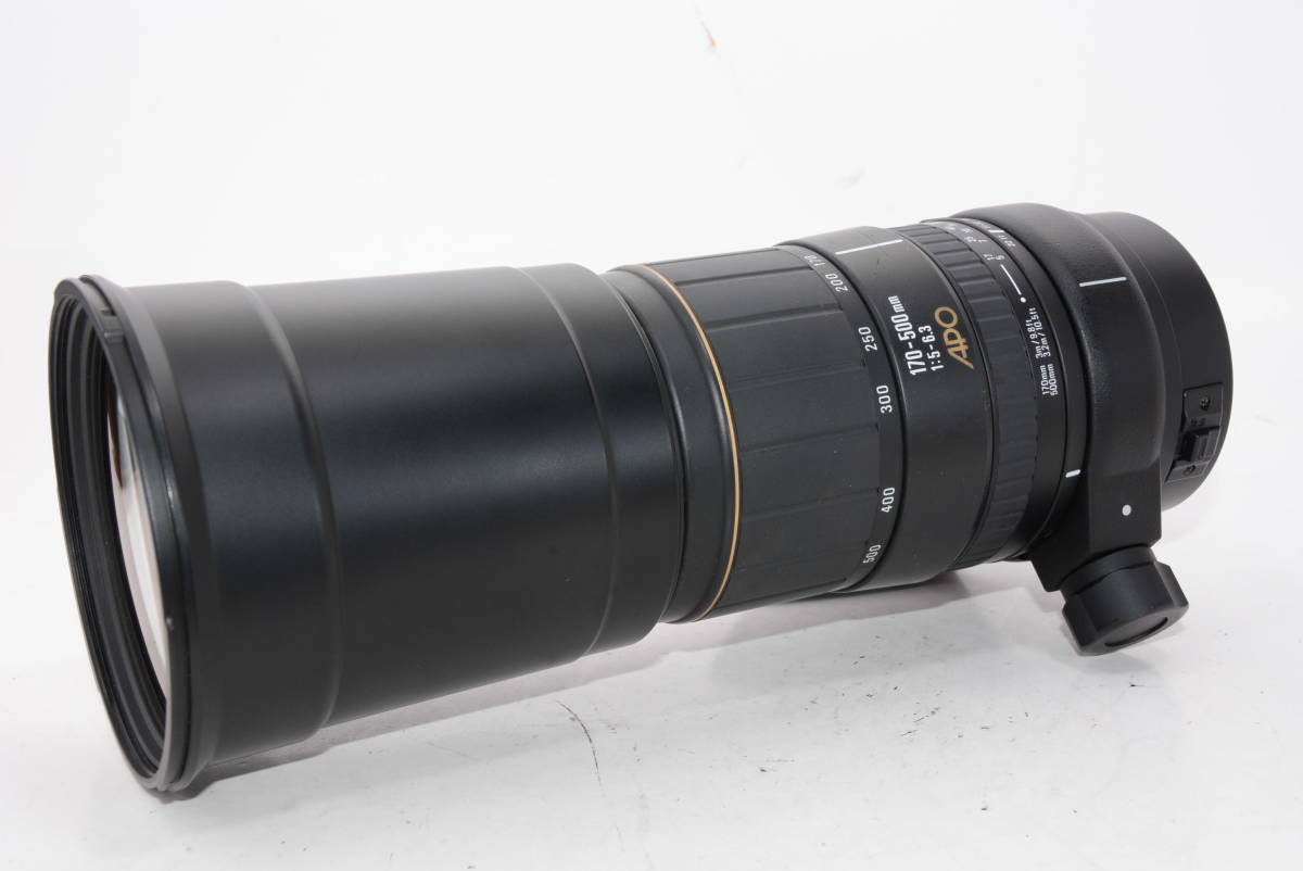 外観特上級】SIGMA シグマ APO 170-500mm F5-6.3 CANON #a11377