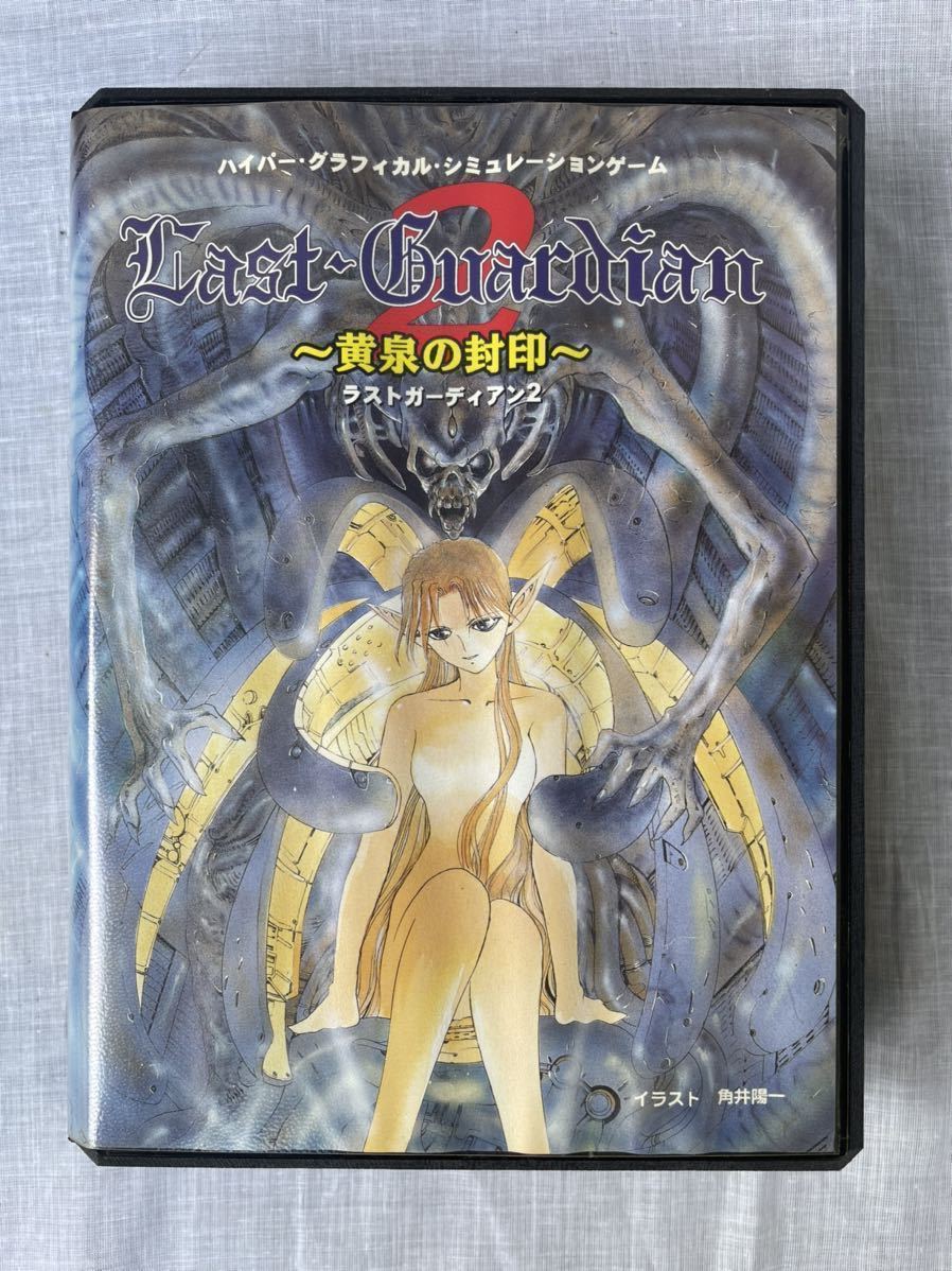 PCゲーム 3.5”2HD×7 動作未確認 ラストガーディアン2 黄泉の封印 ANJIN ハイパー グラフィカル シミュレーション PC98シリーズ ジャンク _1