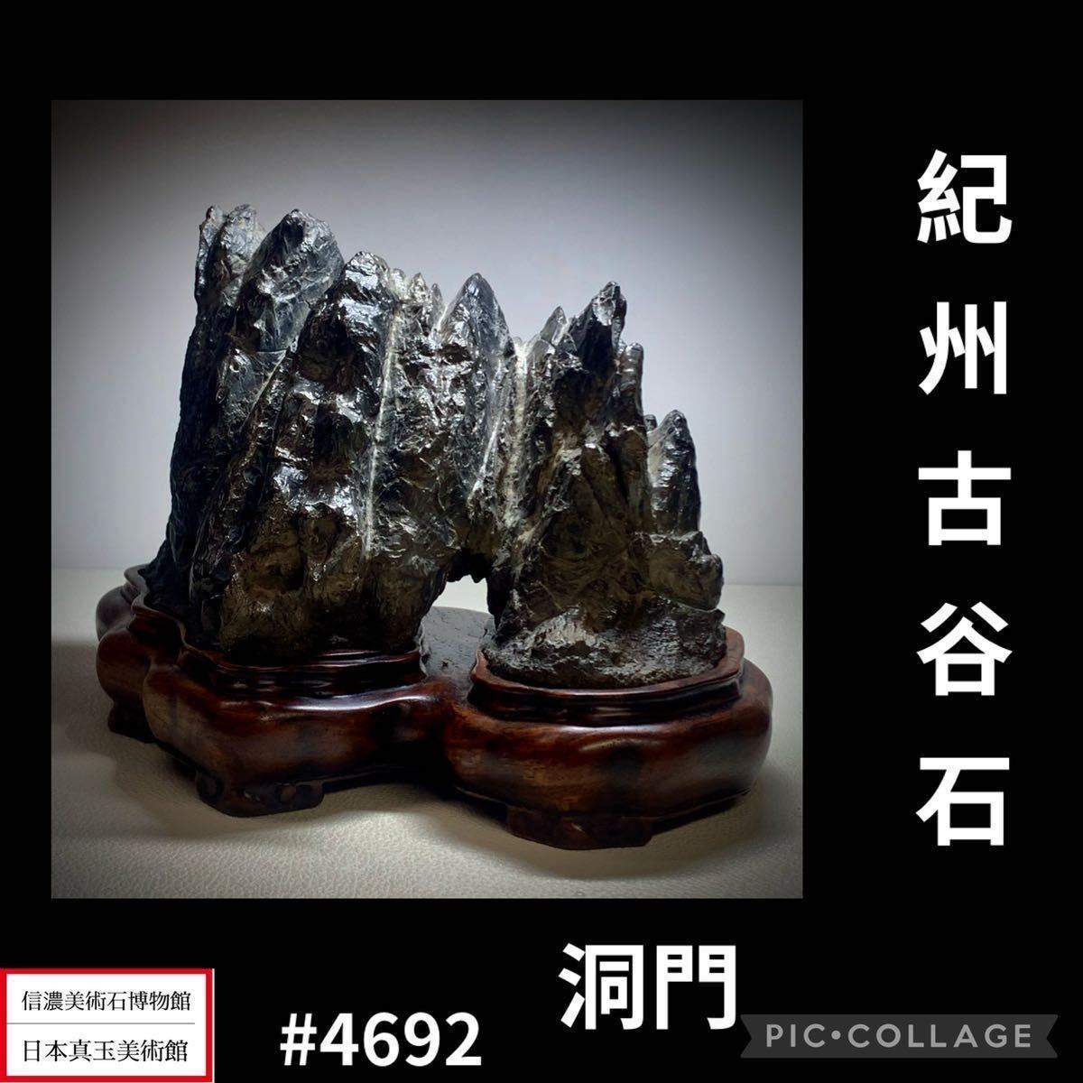 【水石ルネサンスフェア】水石盆栽 紀州古谷石 横25×高16×奥行22(cm) 重量:4.88kg骨董盆石鑑賞石観賞石太湖石 4692