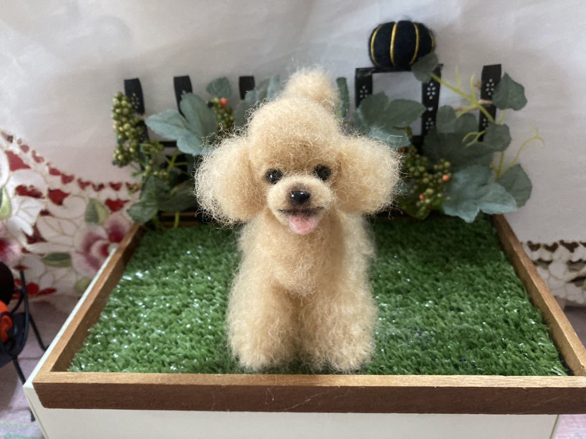 通販 トイ プードル 羊毛 フェルト 犬 トイプードル 羊毛フェルト