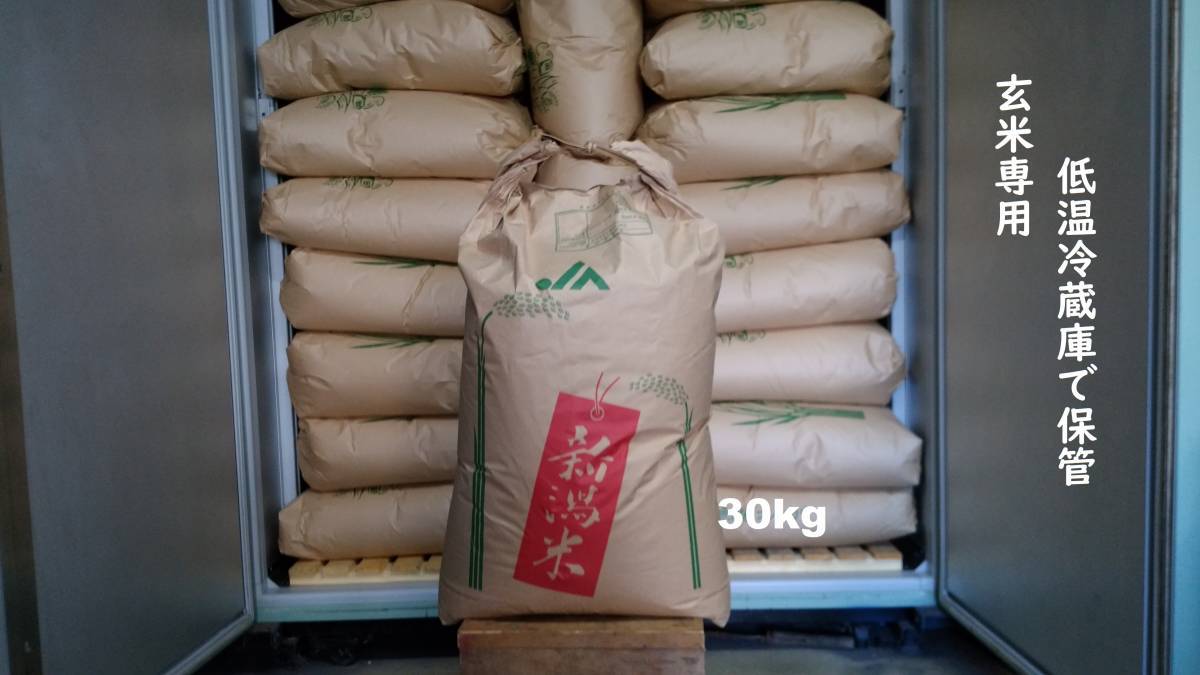 魚沼産コシヒカリ 玄米 30kg 魚沼産コシヒカリ30kg 玄米最高級 令和8年産