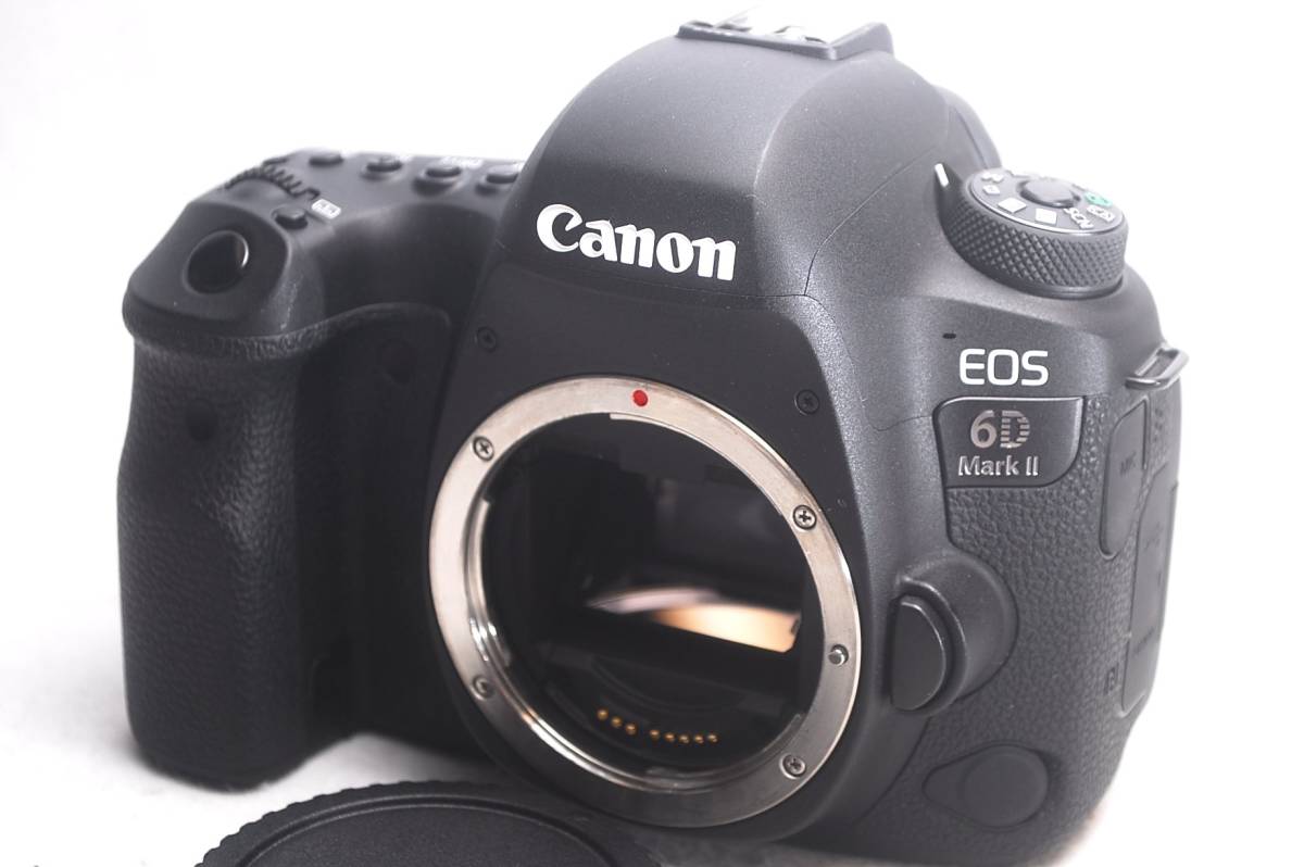 【定番，お得】 ★新品級！★Canonキヤノン EOS 6D Mark II★絶好調！C387