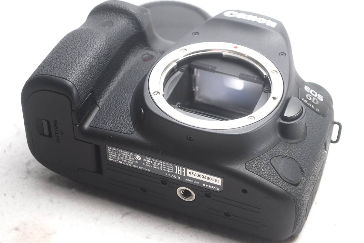 【定番，お得】 ★新品級！★Canonキヤノン EOS 6D Mark II★絶好調！C387