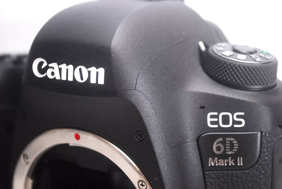 【定番，お得】 ★新品級！★Canonキヤノン EOS 6D Mark II★絶好調！C387
