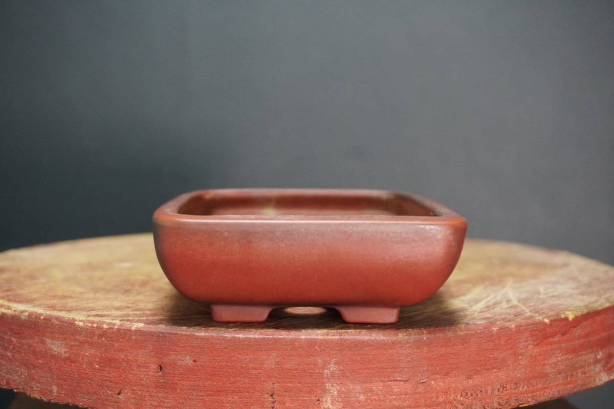 石井盆栽平田美芸作 朱泥 長方鉢 盆栽鉢 p-102 石井盆栽平田美芸作 朱泥 長方鉢 盆栽鉢 p-102