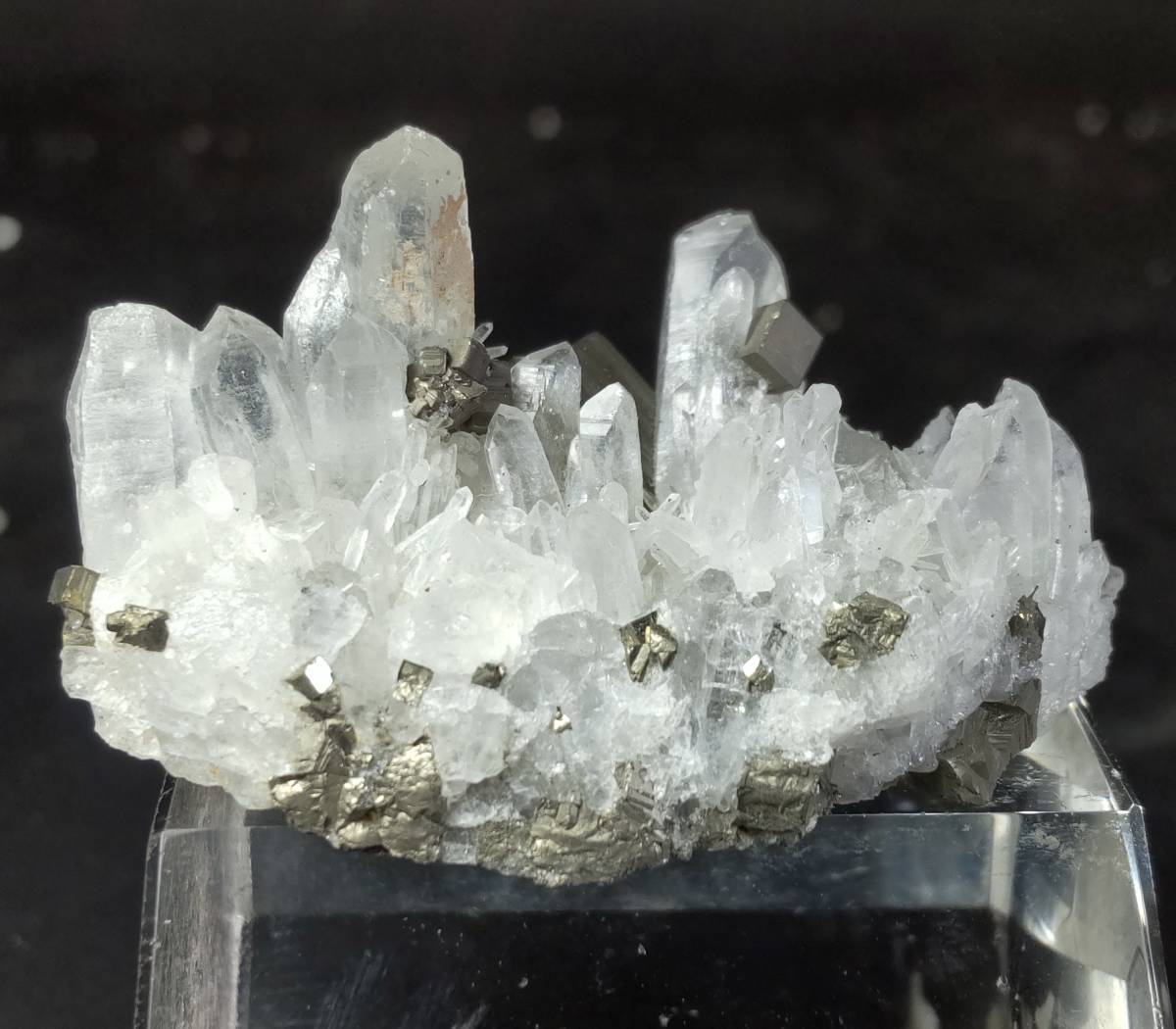 黄鉄鉱 水晶 青森県尾太鉱山産 (Quartz, Pyrite 花のように咲き乱れる 