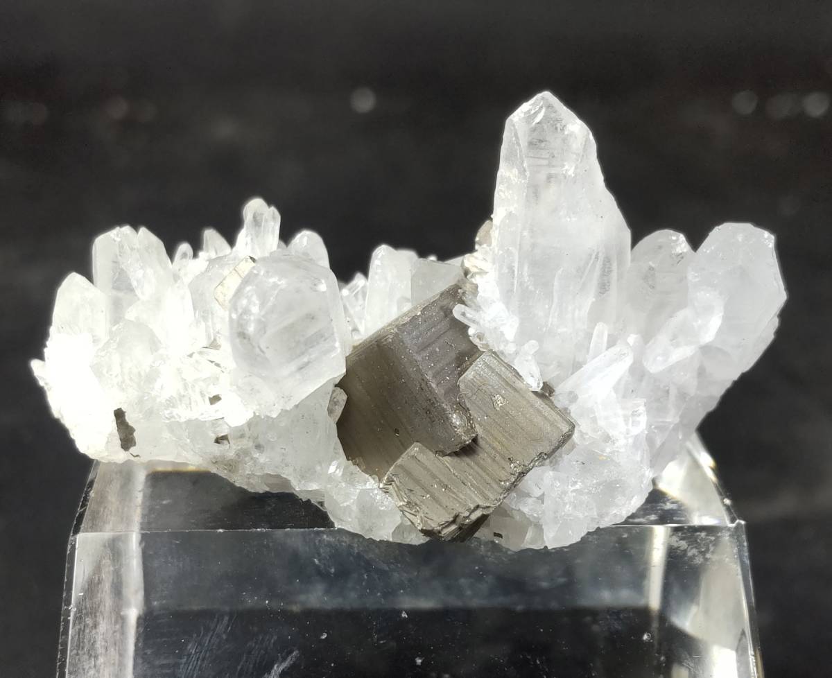 黄鉄鉱 水晶 青森県尾太鉱山産 (Quartz, Pyrite 花のように咲き乱れる 
