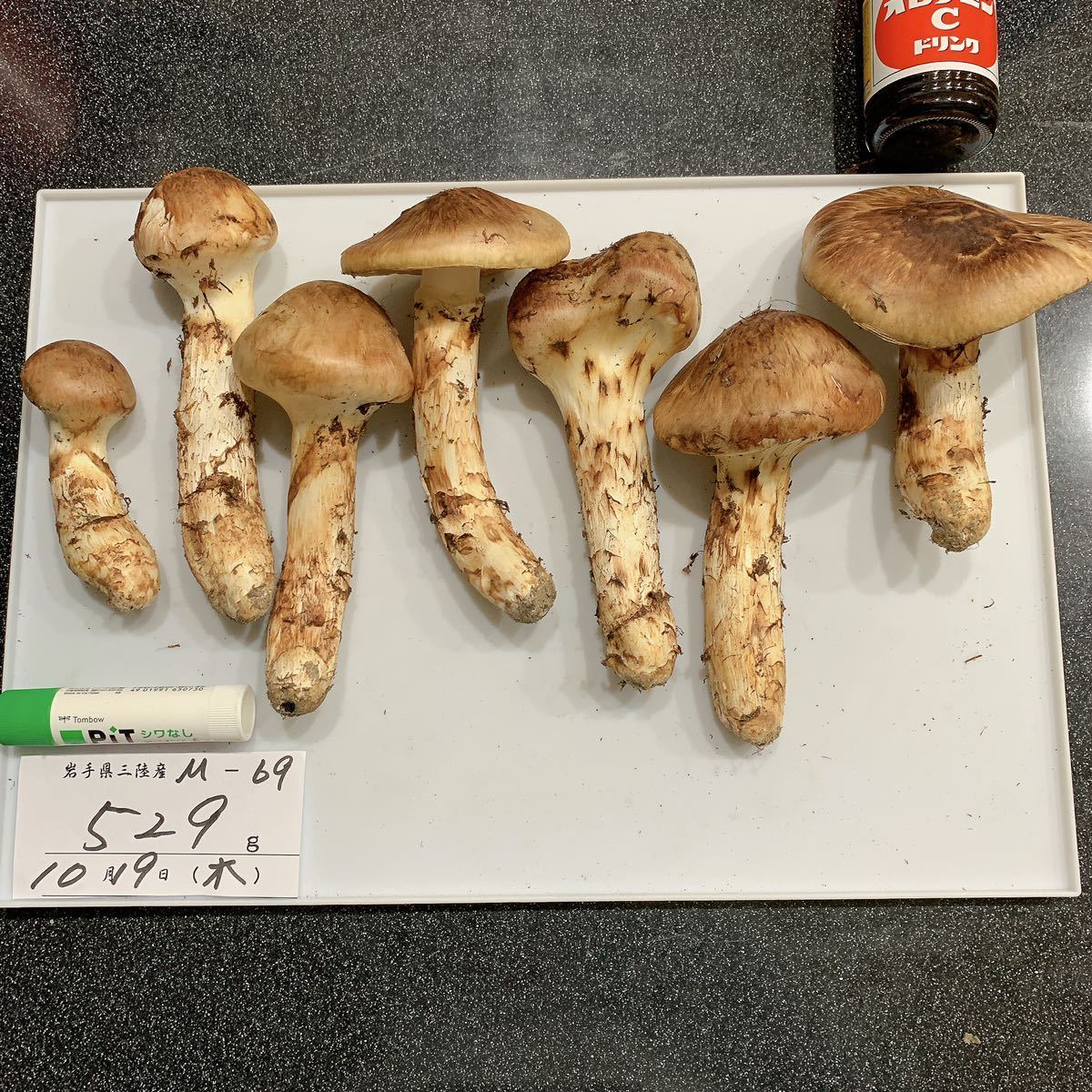 岩手県 松茸 529g 10月19日 m-69