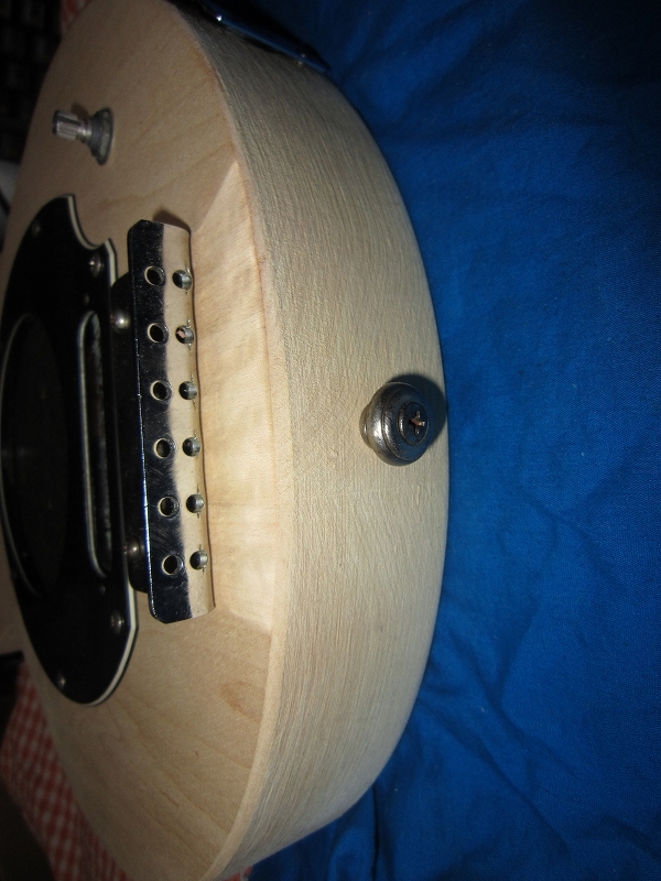 Pignose PGG-100T アームタイプ(☆レア)／ピグノーズ ギター