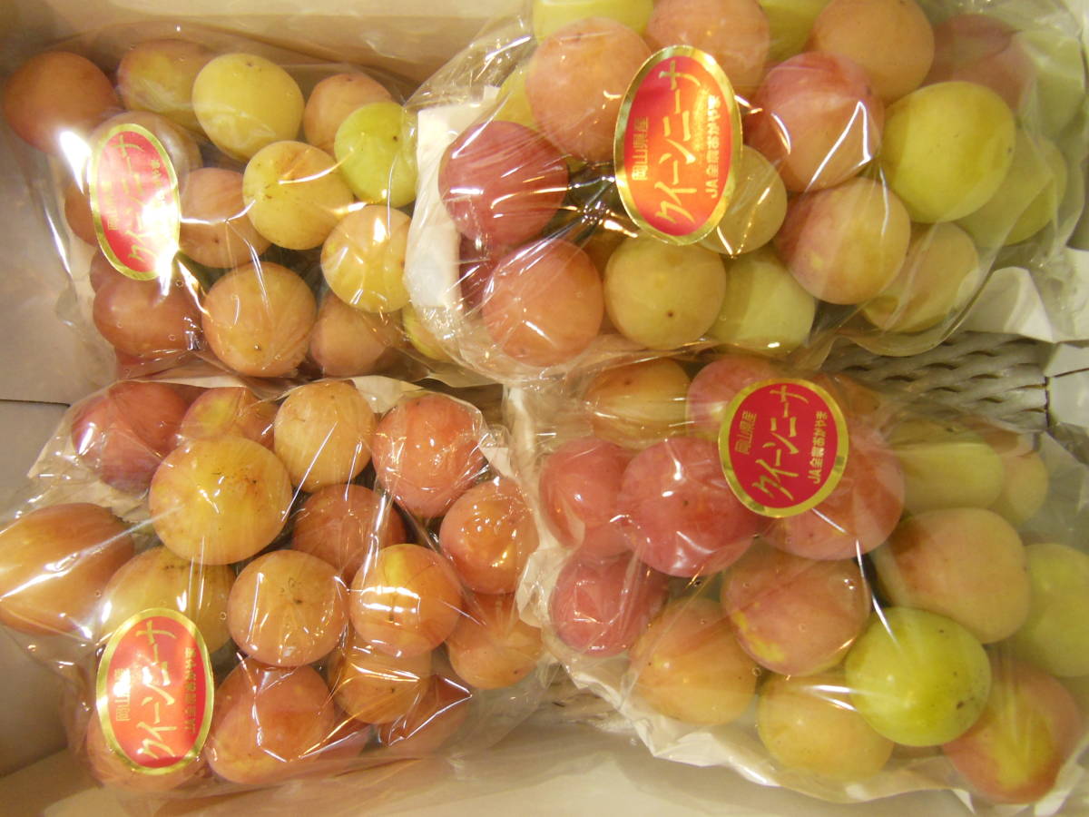 クイーンニーナ　種無　岡山県産　JA晴れの国岡山　等階級　無地(B）4房　約2㎏入り　　参考糖度21.6度　ご家庭用