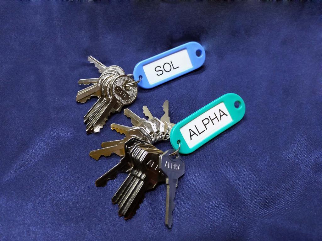 ALPHA/SOL 南京錠 純正 共通キー 20本フルセット 同一キー 純正キー ALPHA SOL 南京錠 同一キー 純正キー 20本フルセット 設備 同一鍵