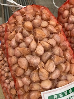 青森県 消毒済 にんにく種20Kg 大 早い者勝ち