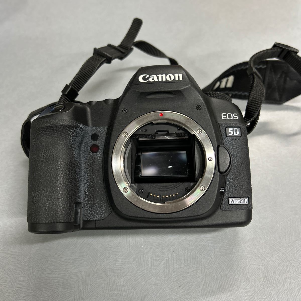 Canon EOS 5D mark Ⅱキヤノン 5D EOS Mark レンズキット 通販 デジタル