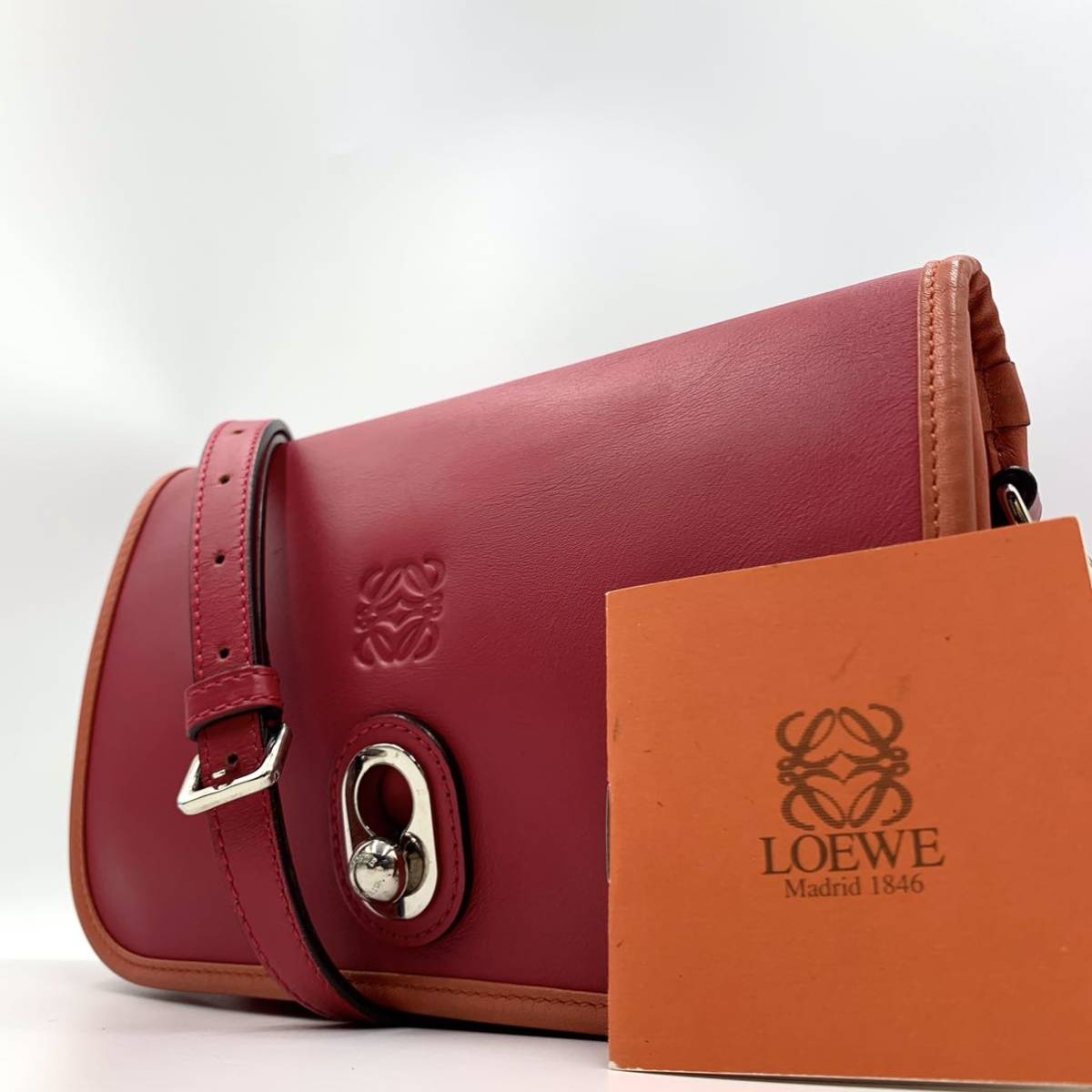 753【定価18万 極美品希少】LOEWE ロエベ 2way イネス ショルダー 
