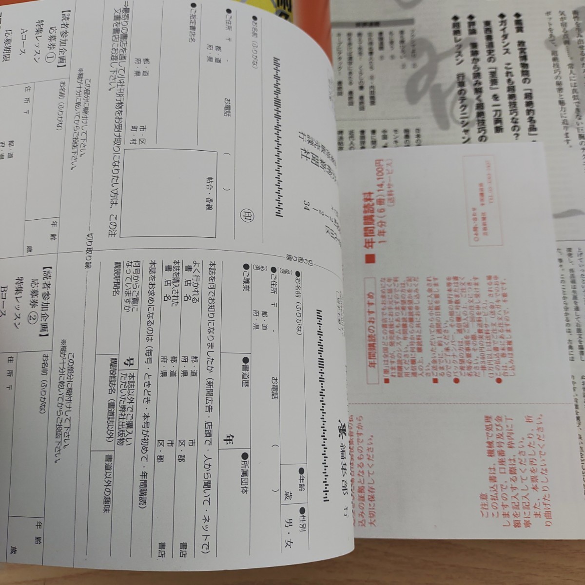 B2311074 墨すみ211号 2011年7,8月号 特集 目指せ! 書道展で“魅せる”作品づくり 芸術新聞社 古本_7