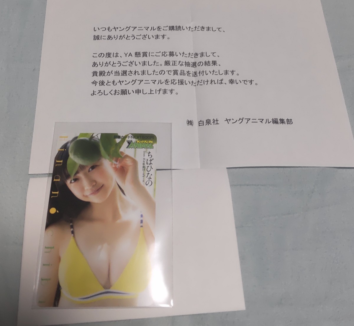 ヤングアニマル 当選品 ちばひなの 図書カード 未使用品 当選通知