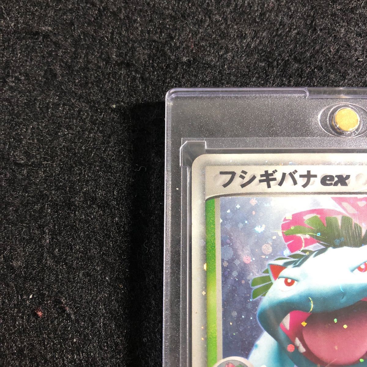 ポケットモンスターポケモンPokemon　2004年キラカードトレカ　フシギバナex　004/052 ポケモンカード 2004年 ピ*カ様