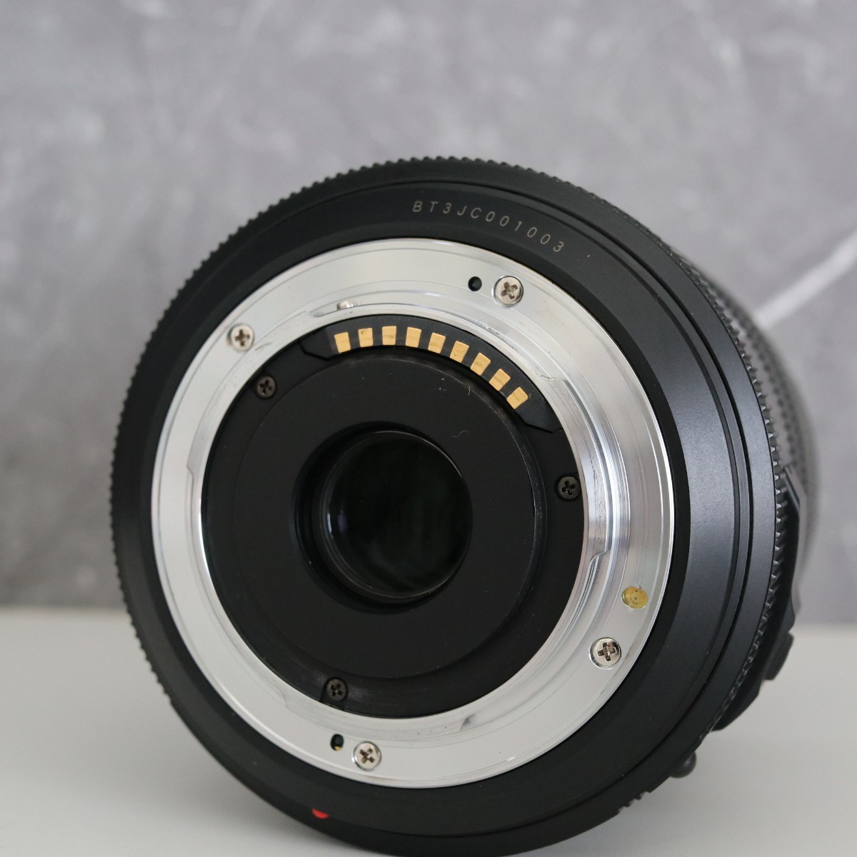 Panasonic LUMIX LEICA D VARIO-ELMAR 14-150mm F3.5-5.6 MEGA O.I.S. 