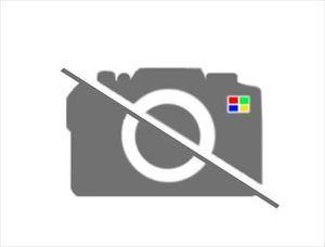 コルト用 パイプのクランプのみ MR993218 CBA-Z27AG 三菱純正部品