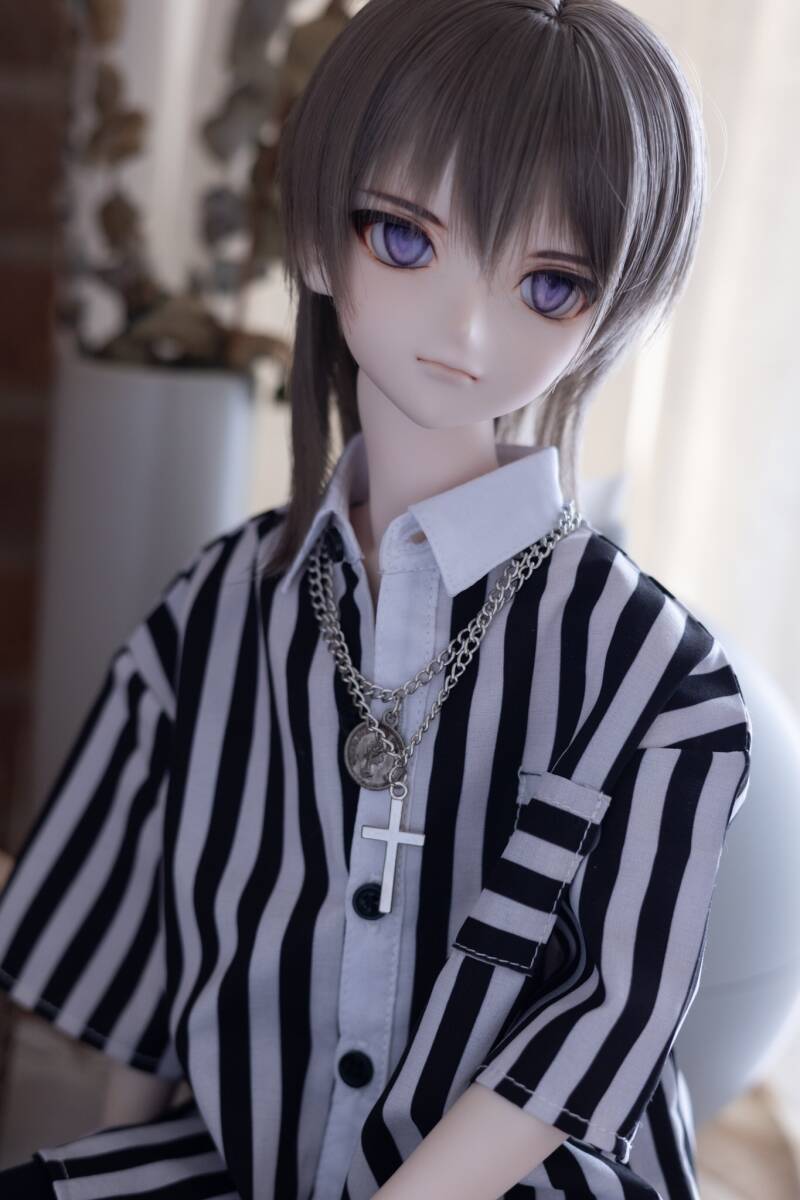 DDH-16(SW)カスタムヘッド＋アイ2種＋ウィッグ【FW】※ソフビ盛り有り