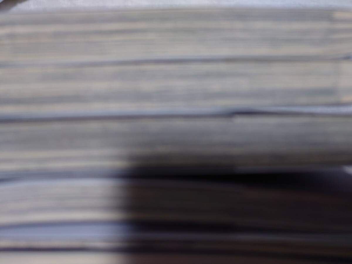 IN THESE WORDS　インディーズワーズ 1.2.3.4巻　特典小冊子2冊　連続殺人犯×精神科医　BL　咎井淳　Narcissus　ギルドプレジャー　様_5