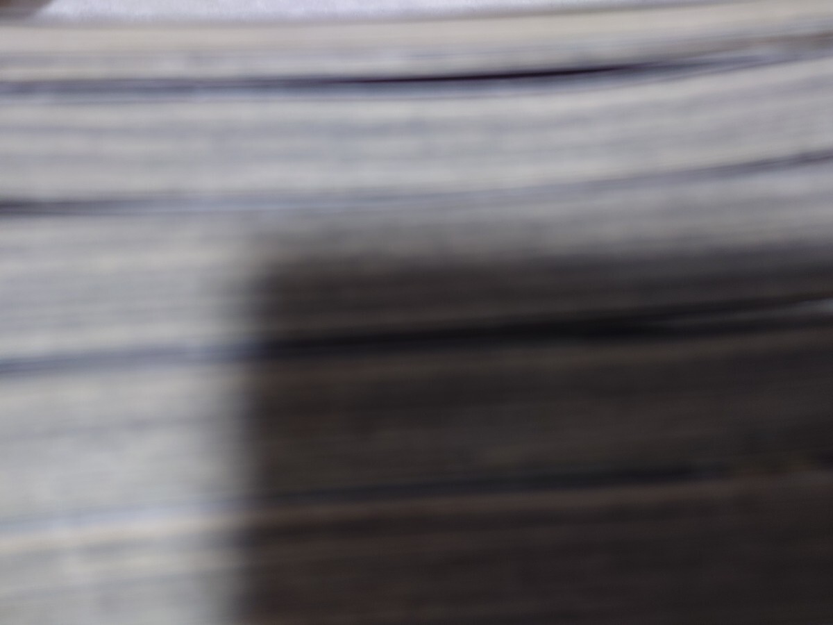 IN THESE WORDS　インディーズワーズ 1.2.3.4巻　特典小冊子2冊　連続殺人犯×精神科医　BL　咎井淳　Narcissus　ギルドプレジャー　様_6