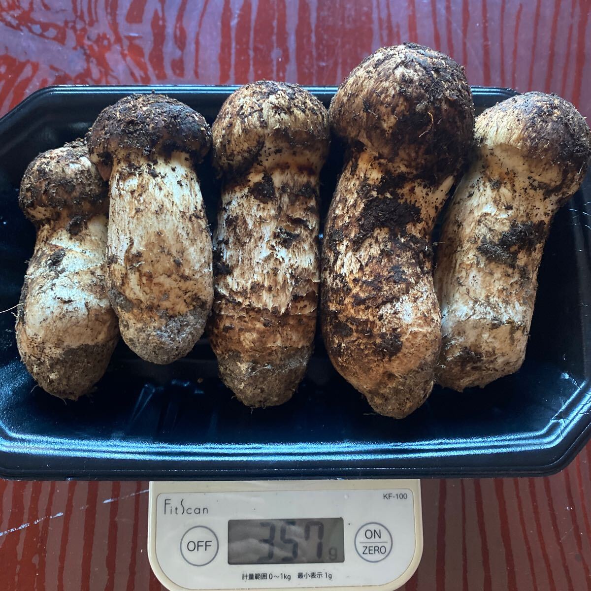 和歌山松茸 新鮮朝市 込み込み 347㌘ 【公式通販】