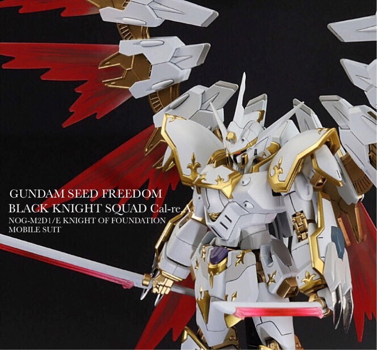 HG 1/144 ブラックナイトスコードカルラ　塗装済み完成品_1