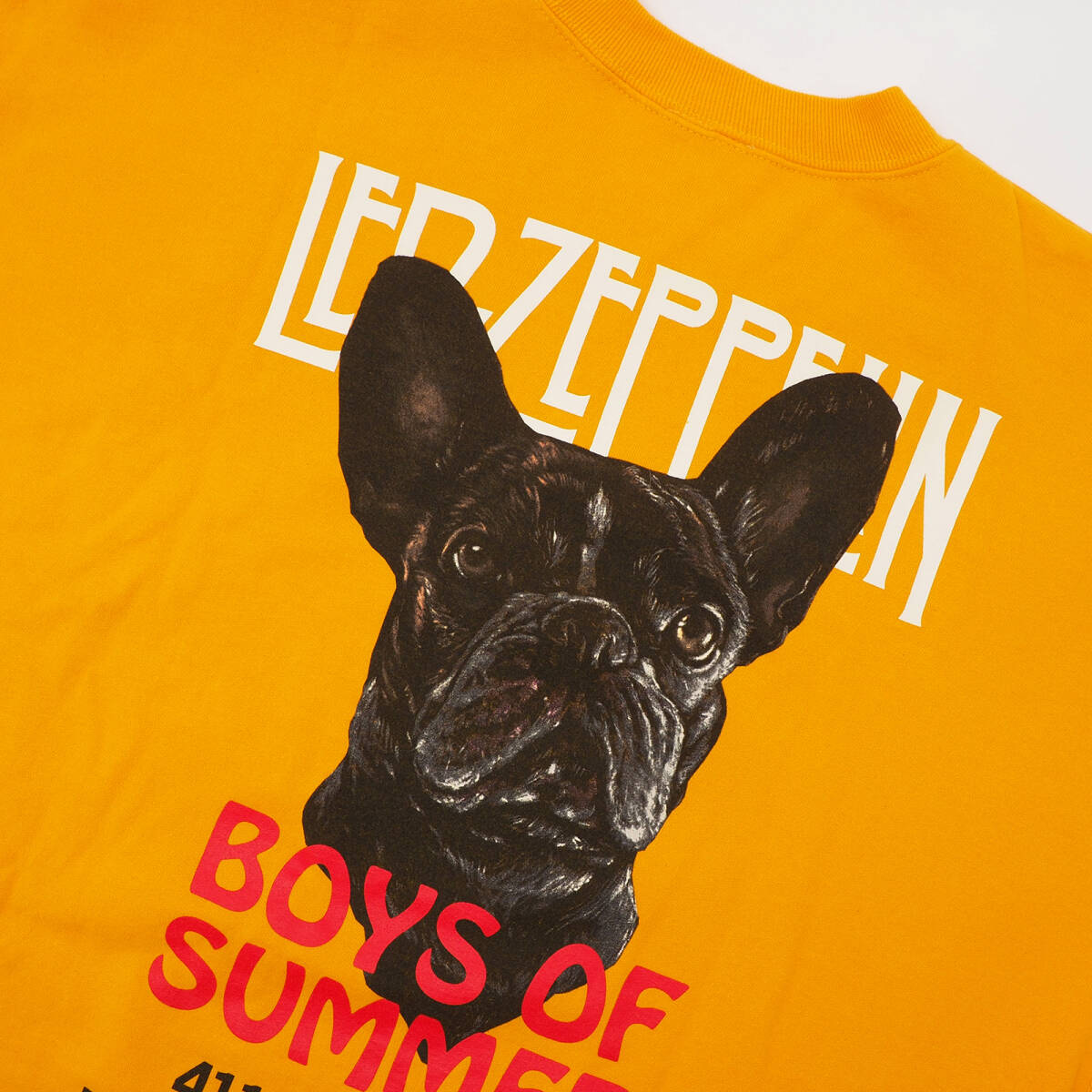 BOYS OF SUMMER LED ZEPPELIN crew neck 【公式通販】