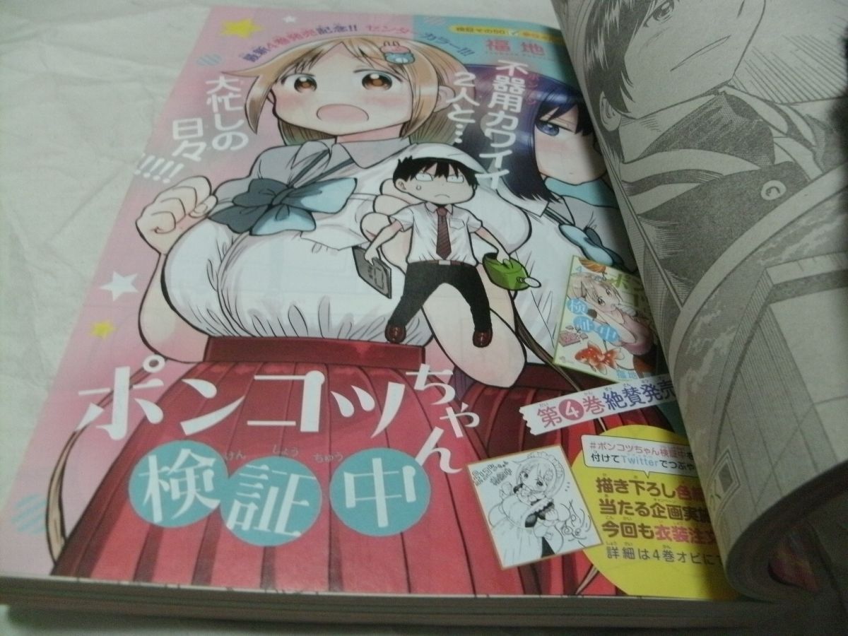 週刊少年サンデー 2020年 No.22・23 巻頭カラー/新連載・原作：山田鐘