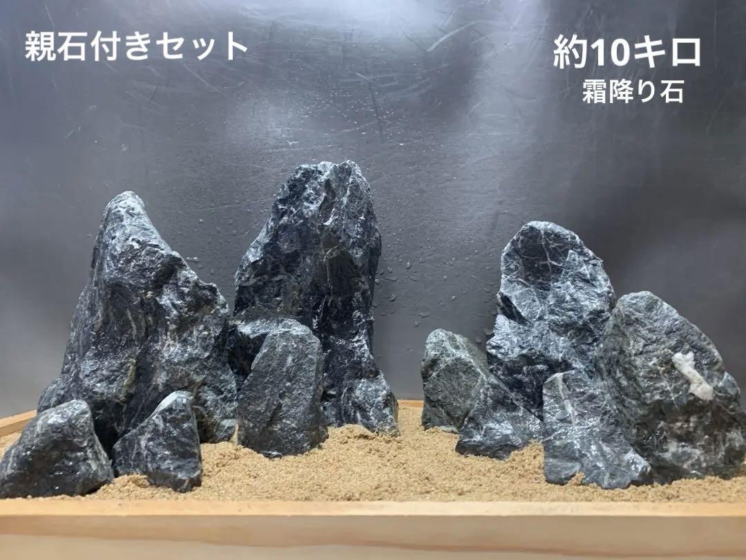 ADA 青龍石　龍王石　青華石　清流石　セット レイアウト 龍王石 青龍 水槽 青龍石 - 清流石 2[新品]ADA 万天石 Yahoo!