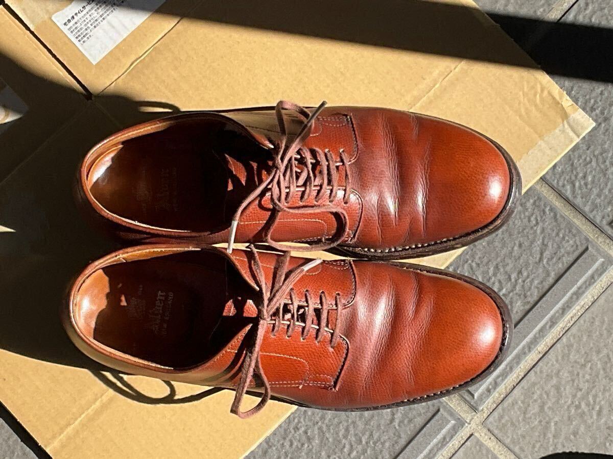 オールデン Alden 5369 【公式通販】
