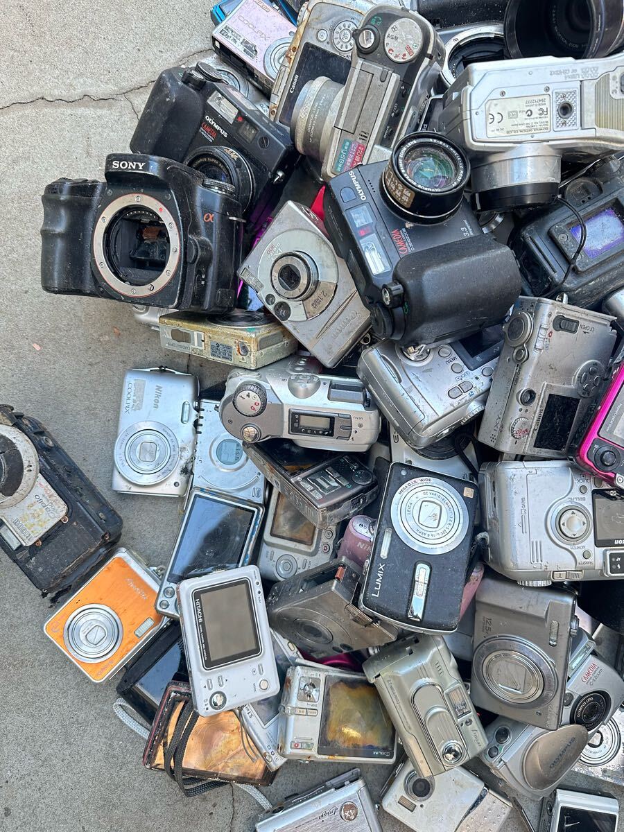 デジタルカメラ OLYMPUS Canon Nikon PENTAX FUJIFILM SONY PANASONIC 
