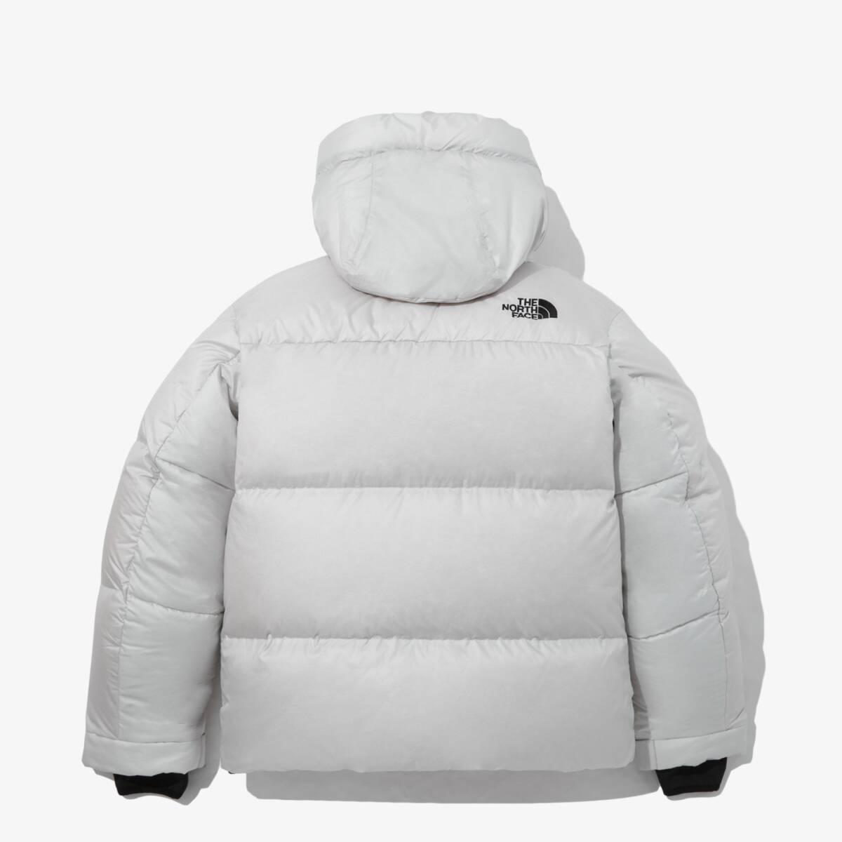 THE NORTH FACE ザ ノース フェイス QUANTUM ELBERON DOWN JACKET 