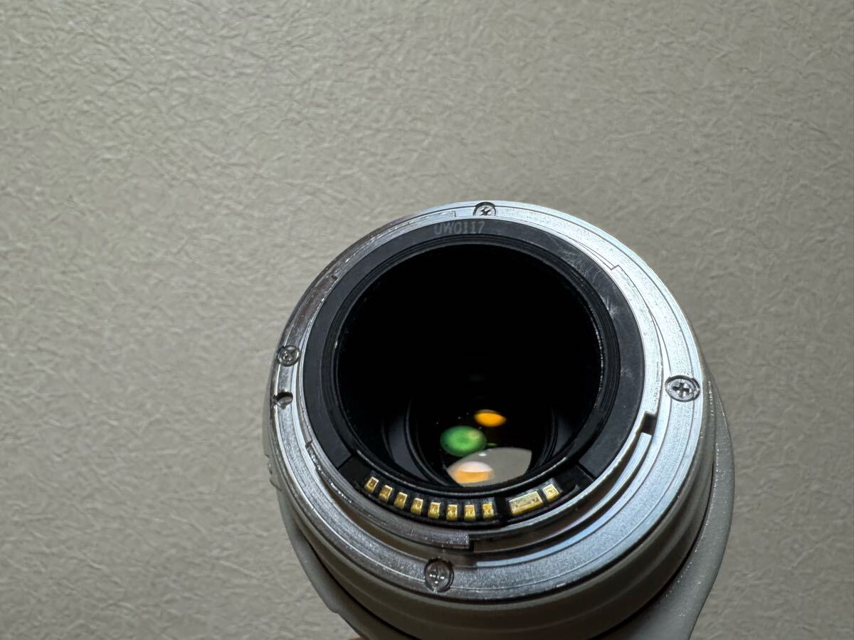 キャノン Canon ZOOM LENS EF 100-400mm 1:4.5-5.6 L IS ULTRASONIC レンズ AF動作確認済み_6