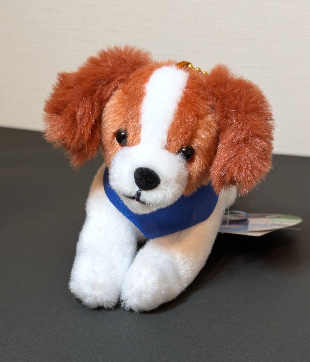未使用・タグ付き】コーイケルホンディエのおでこちゃん キーホルダー