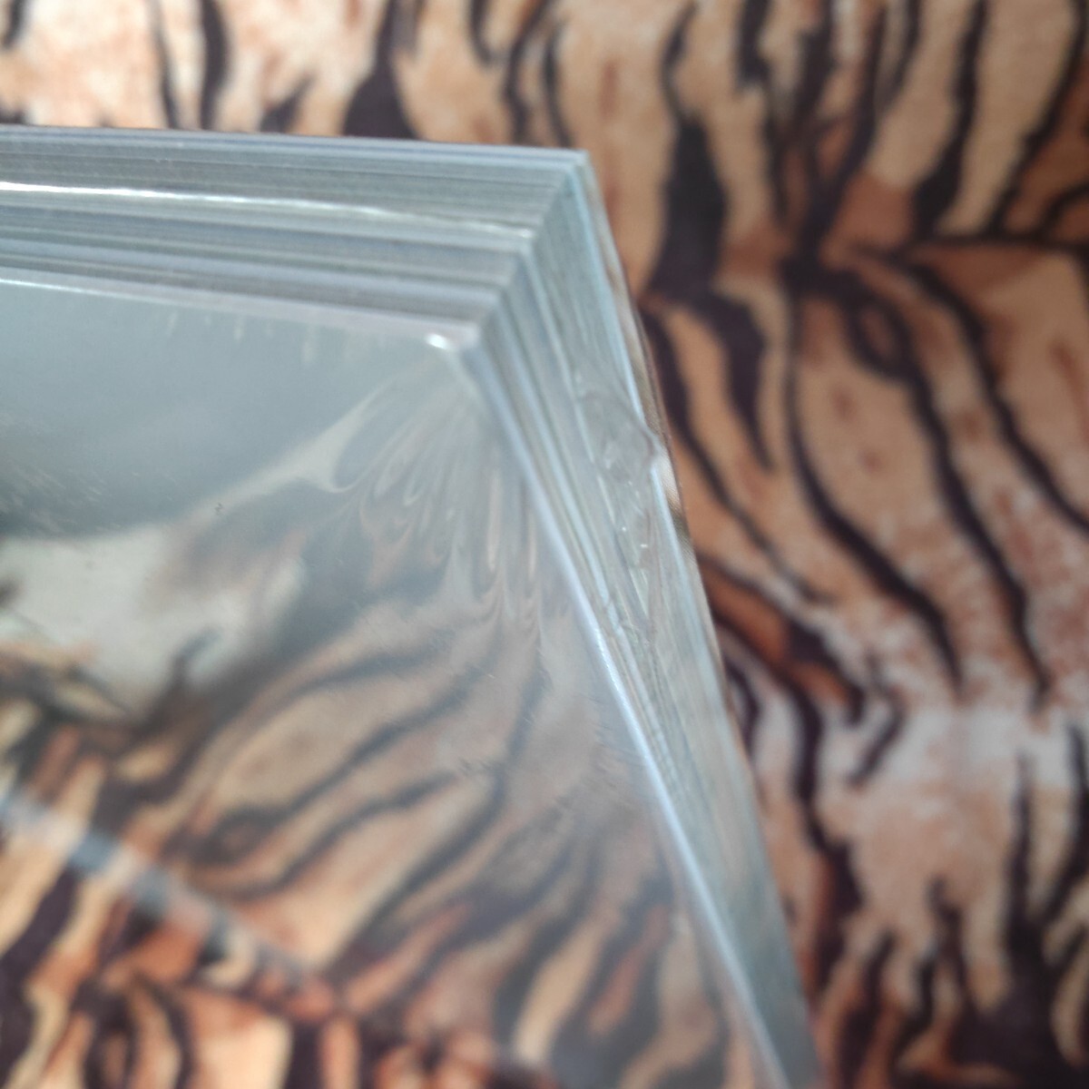 未開封☆ｎｅｎｅ まるっとぜんぶ 志田音々ファースト写真集_3